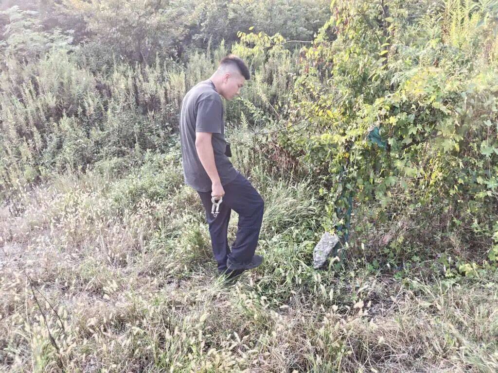 浙江一姑娘以奶茶為記號，竟然在草叢里藏了11萬現(xiàn)金！:西鳳酒
