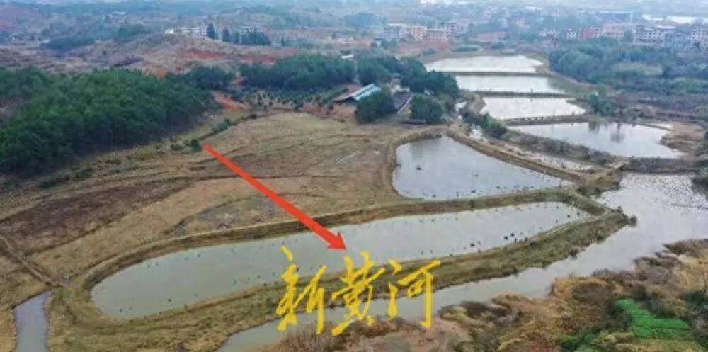 65歲農(nóng)婦荒塘養(yǎng)魚被判“非法占用農(nóng)地”：羈押10月后免刑，仍喊“我沒罪”:西鳳酒
