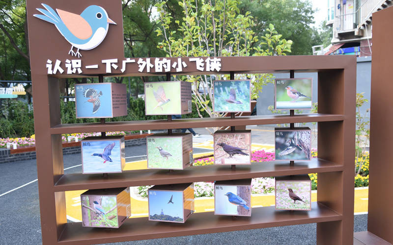 西城區(qū)廣外街道：“斷頭路”變身口袋公園<strong></p>
<p>西鳳酒
</strong>，裝滿民生“微幸?！?西鳳酒
