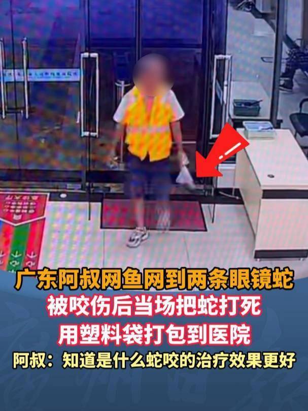 廣東62歲阿叔網(wǎng)魚網(wǎng)到2條眼鏡蛇<strong></p>
<p>西鳳酒
</strong>，被咬傷后當(dāng)場打死，并打包提進(jìn)醫(yī)院:西鳳酒
