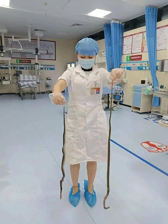 廣東62歲阿叔網(wǎng)魚網(wǎng)到2條眼鏡蛇<strong></p>
<p>西鳳酒
</strong>，被咬傷后當(dāng)場打死，并打包提進(jìn)醫(yī)院:西鳳酒

