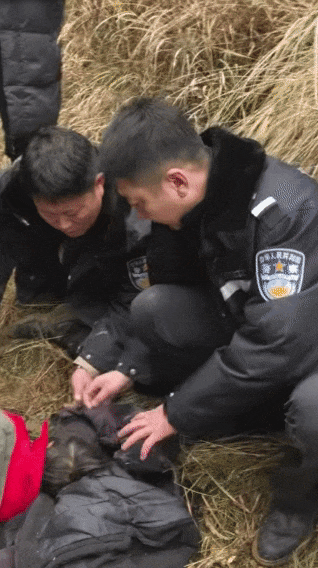 遼寧4歲女童稱睡醒后自行下車<strong></p>
<p>西鳳酒
</strong>，迷路后睡在草地，期間無人接觸；其母發(fā)聲:西鳳酒
